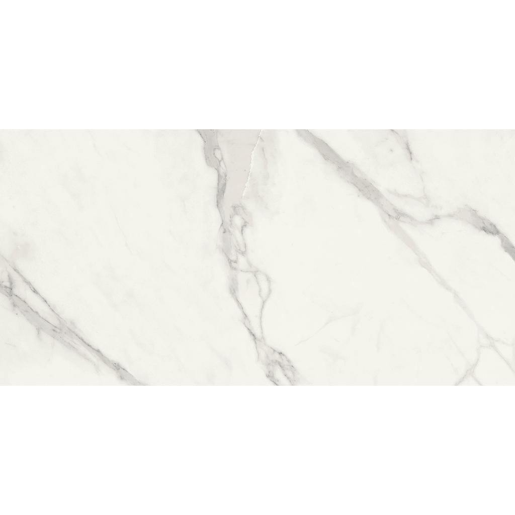 Gres Tile Pietrasanta MAT 119,8x59,8x8mm (2'x4')
