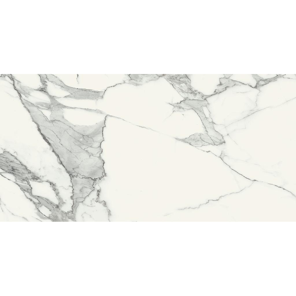 Gres Tile Specchio Carrara SAT 119,8x59,8x10mm(2'x4')